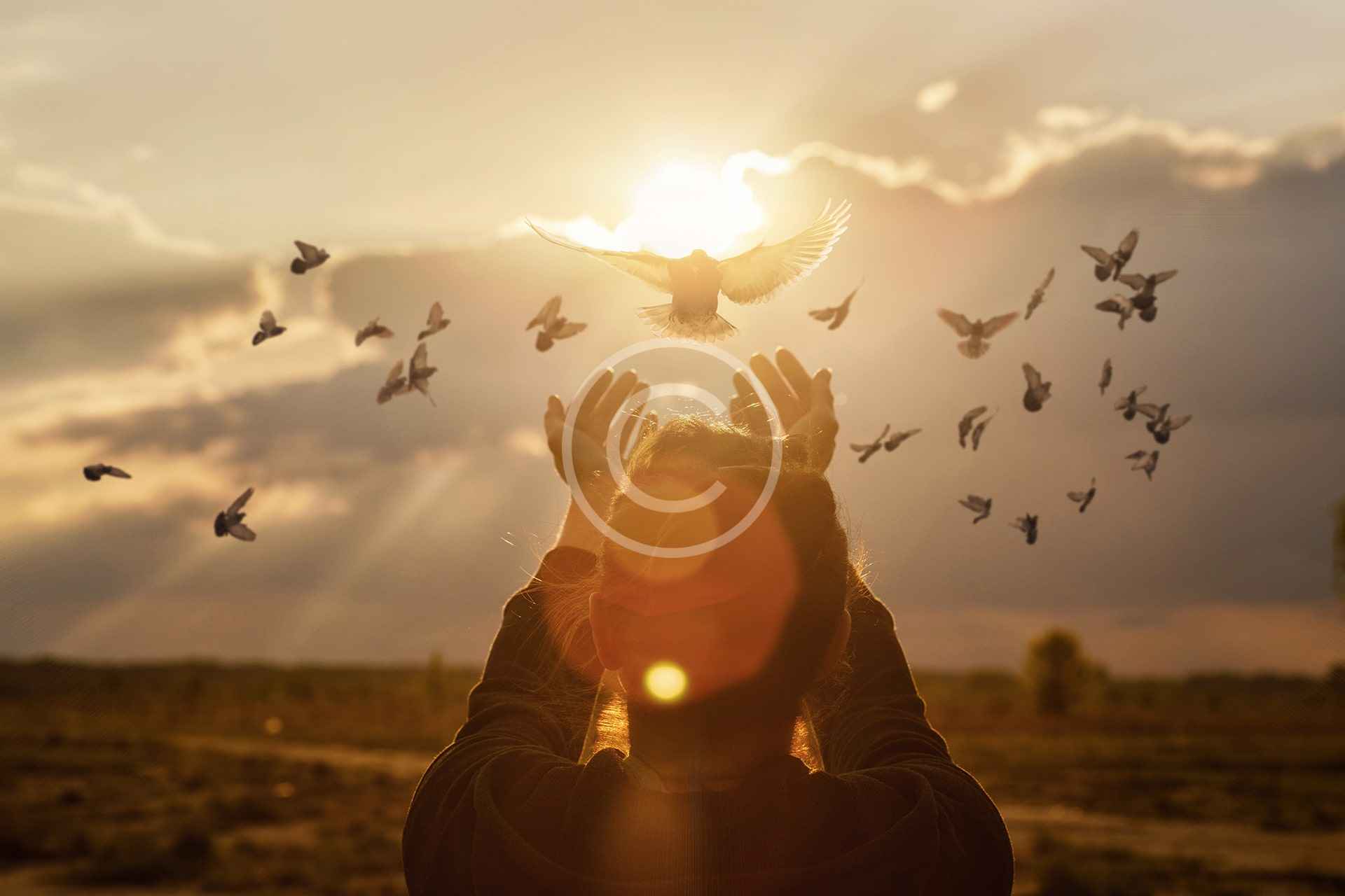 Exercer a Prática da Caridade